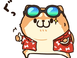 Chubby Dog in Summer