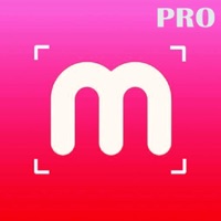 Detecteur metaux  magnetometre pour PC