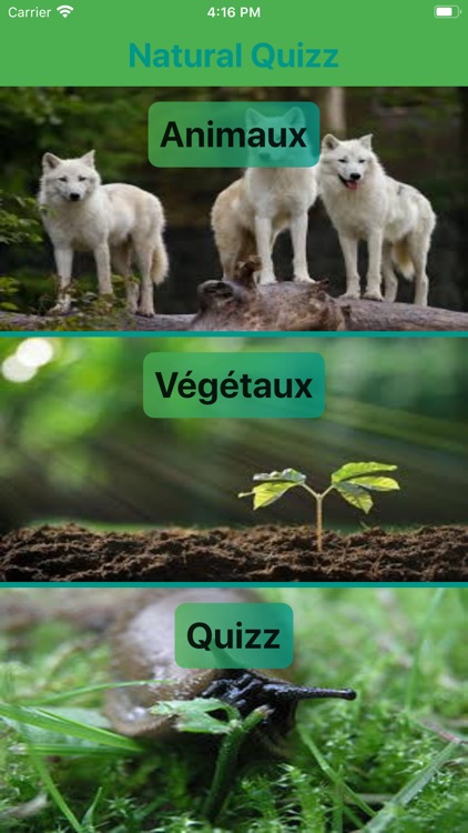 NaturalQuiz