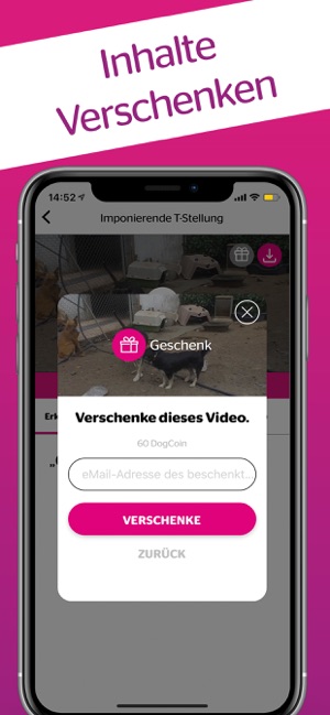 DogDict – Hundelehrvideos(圖7)-速報App