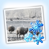Snow Daze  PC 용