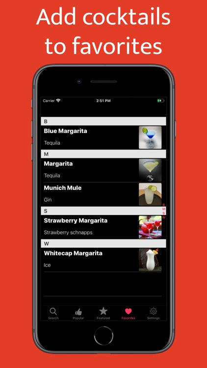 Cocktail Recipes: Mixed Drinks screenshot-4