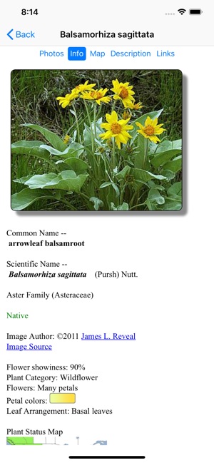 Washington Wildflower Search(圖4)-速報App