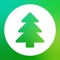 Icon Evergreen – Finance Manager