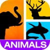 Icon Guess It! Pic Animal Word Game