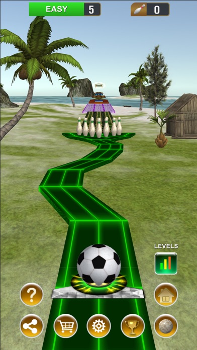 Endless Bowling Paradise screenshot 4