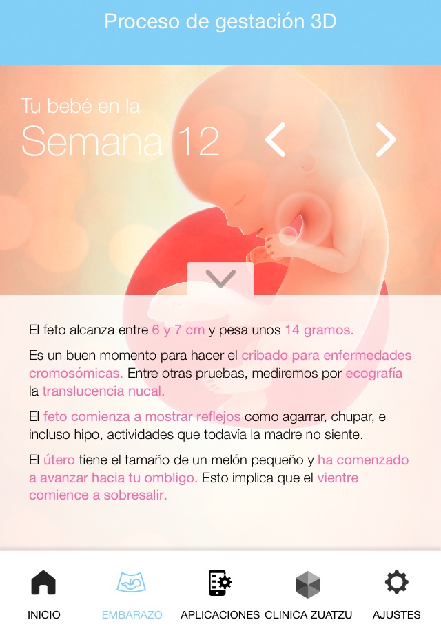 Tu Embarazo screenshot 2