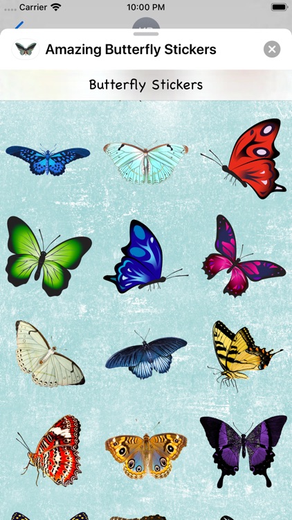 Amazing Butterfly Stickers