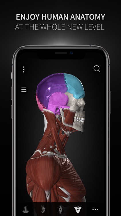 Anatomyka screenshot-3