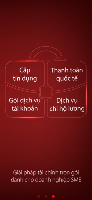 Viet Capital Biz(圖3)-速報App