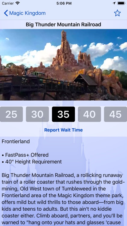 Wait Times for Disney World
