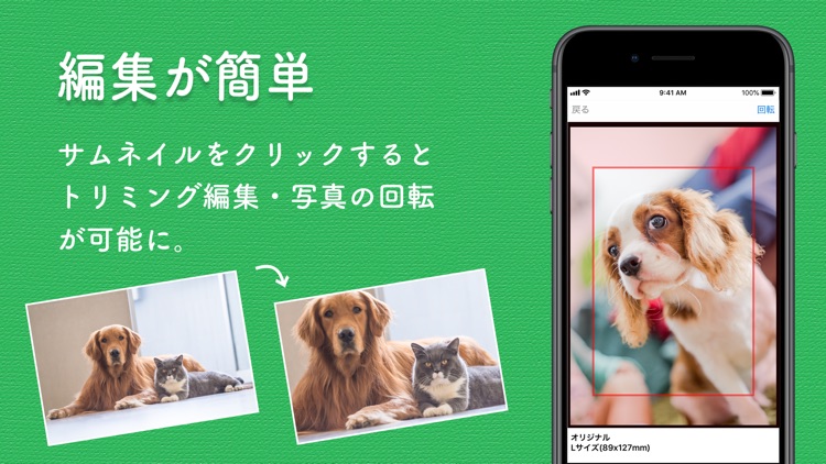 写真プリント 写真の現像は しまうまプリント