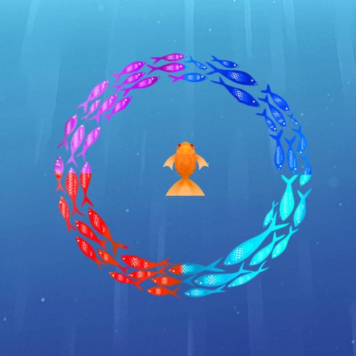 Big Fish - Impossible Bounce iOS App