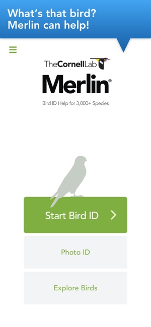 Merlin Bird ID by Cornell Lab