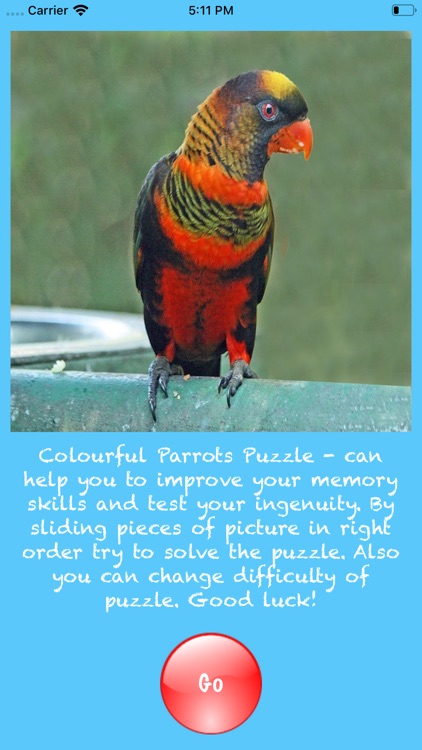 Colorful Parrots Puzzle