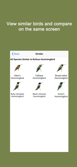 Sibley Guide to Hummingbirds(圖5)-速報App