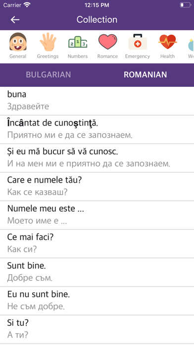 Bulgarian Romanian Dictionary screenshot 2