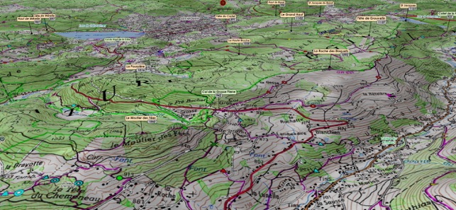 3618 OT Vosges(圖1)-速報App