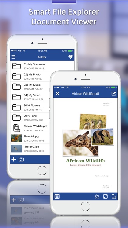 File Explorer Professional