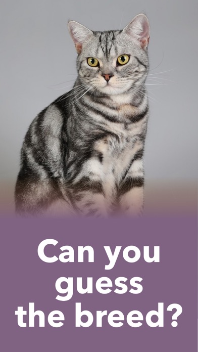 How to cancel & delete Cat Breeds Guess The Cats Quiz from iphone & ipad 2