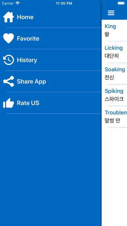 iDictionary English - Korean screenshot-5