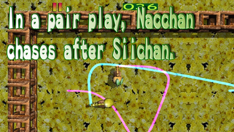 Pitter-Patter Nacchan