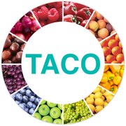 Tabela Taco de Alimentos