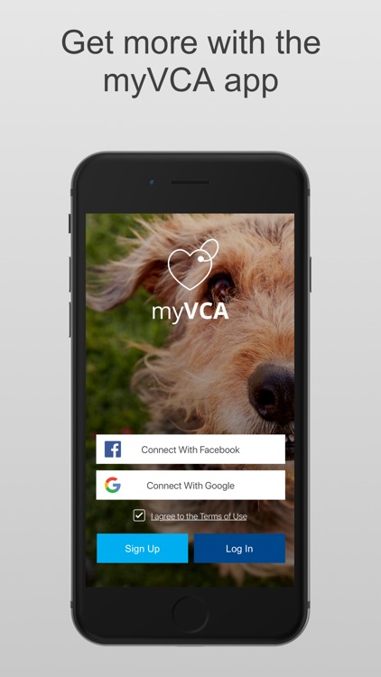 myVCA