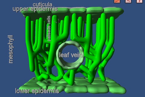 Bioanim Complete screenshot 2