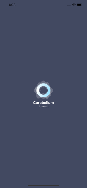 Briko Cerebellum