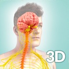 Top 40 Education Apps Like My Nervous System Anatomy - Best Alternatives