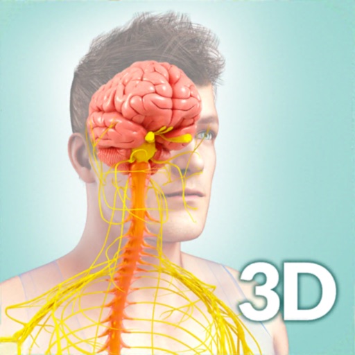 My Nervous System Anatomy by Santosh Chavan