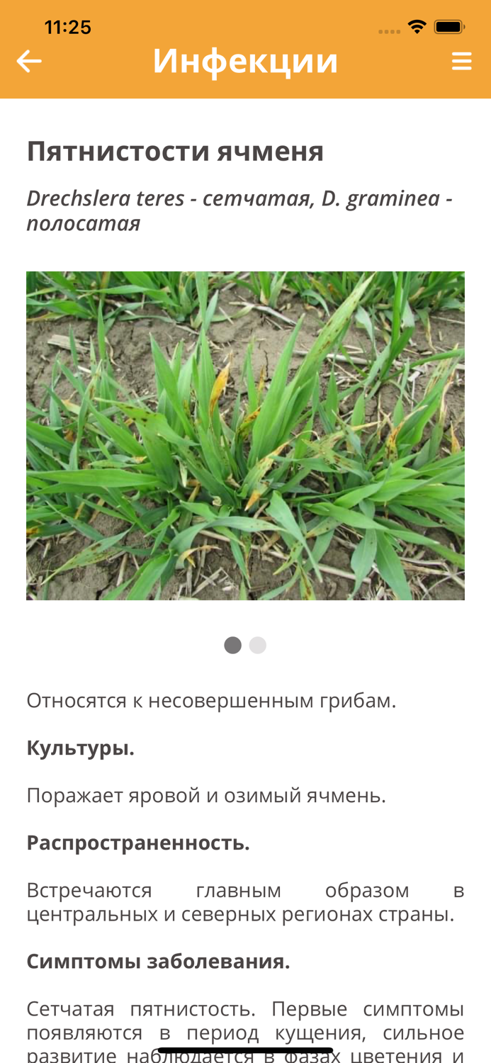 Защита растений Август РБ