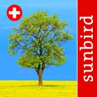 Baum Id Schweiz