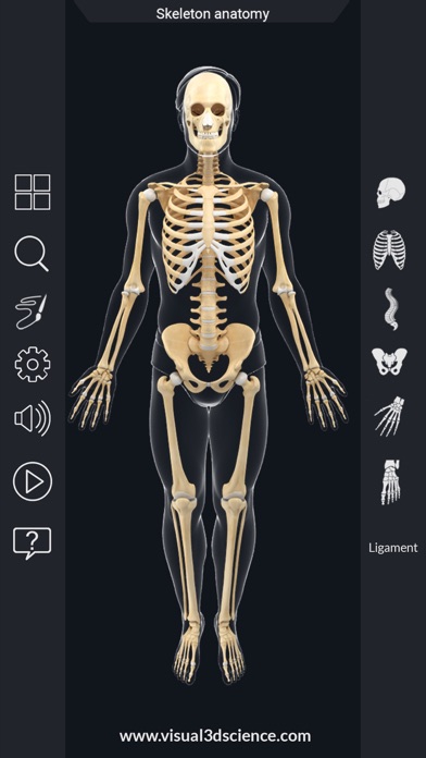 AR Skeleton Anatomy screenshot 3