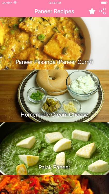 Paneer Recipes in English