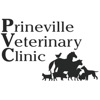 Prineville Vet