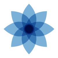 Moment: Cut Screen Time PC 용