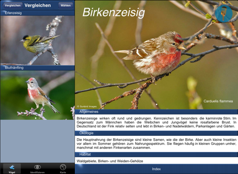 Vogel Id Gartenvögel bestimmen - náhled