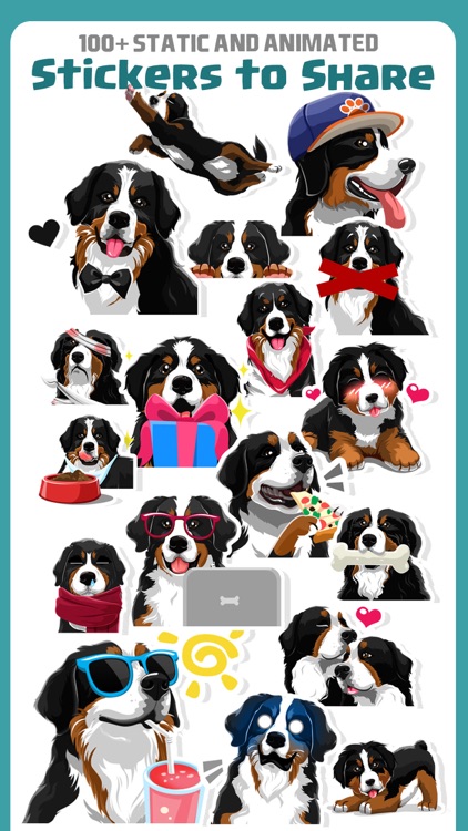 Bernese Mountain Dog Emoji