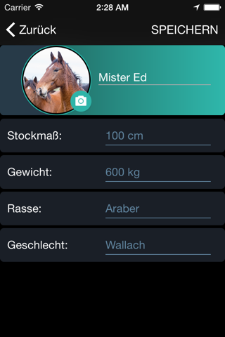 OneHorse screenshot 4