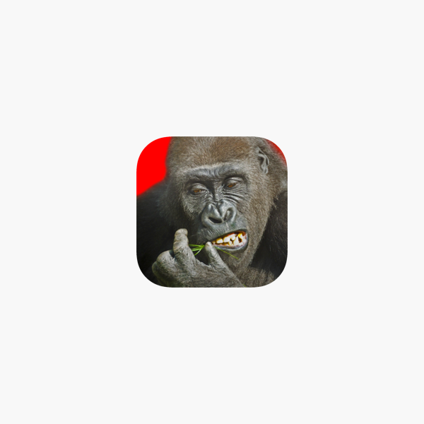 Flying Gorilla On The App Store