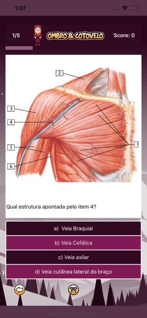 OrthoQuiz(圖8)-速報App