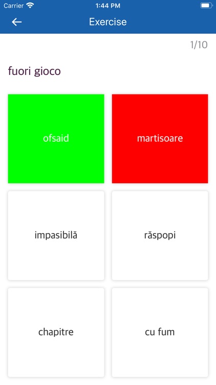 Italian Romanian Dictionary screenshot-3