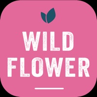 Wildflower Poke pour PC