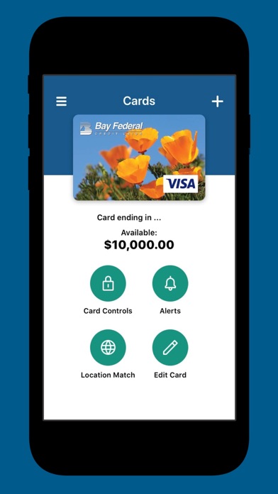 BayFedCards screenshot 2