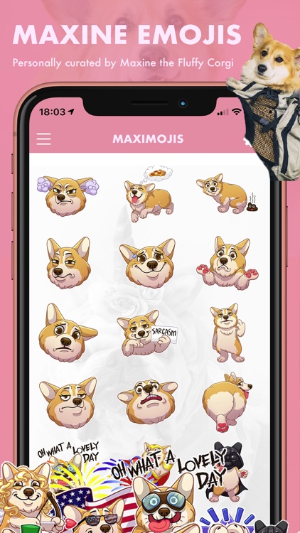 MaxiMojis - Corgi dog stickers