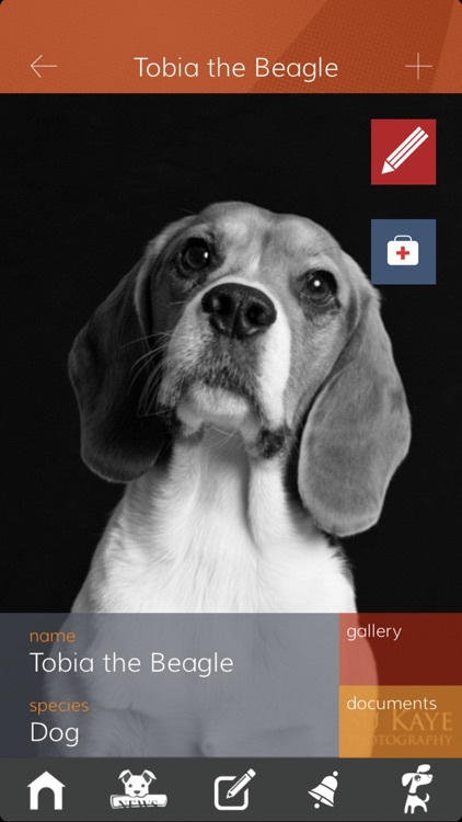 Bauwow The Pet Social Network screenshot-5