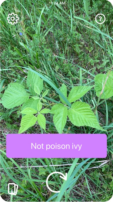 Poison Ivy screenshot 2