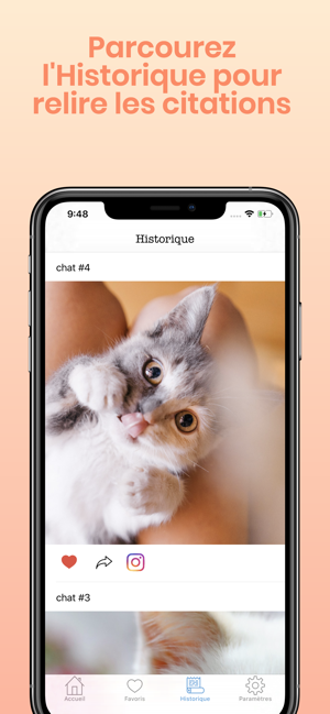 Photos chats mignons(圖5)-速報App